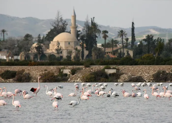 Apartment Camilla Larnaka